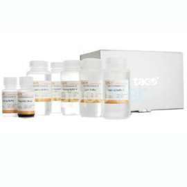 Kit tách chiết DNA tổng số